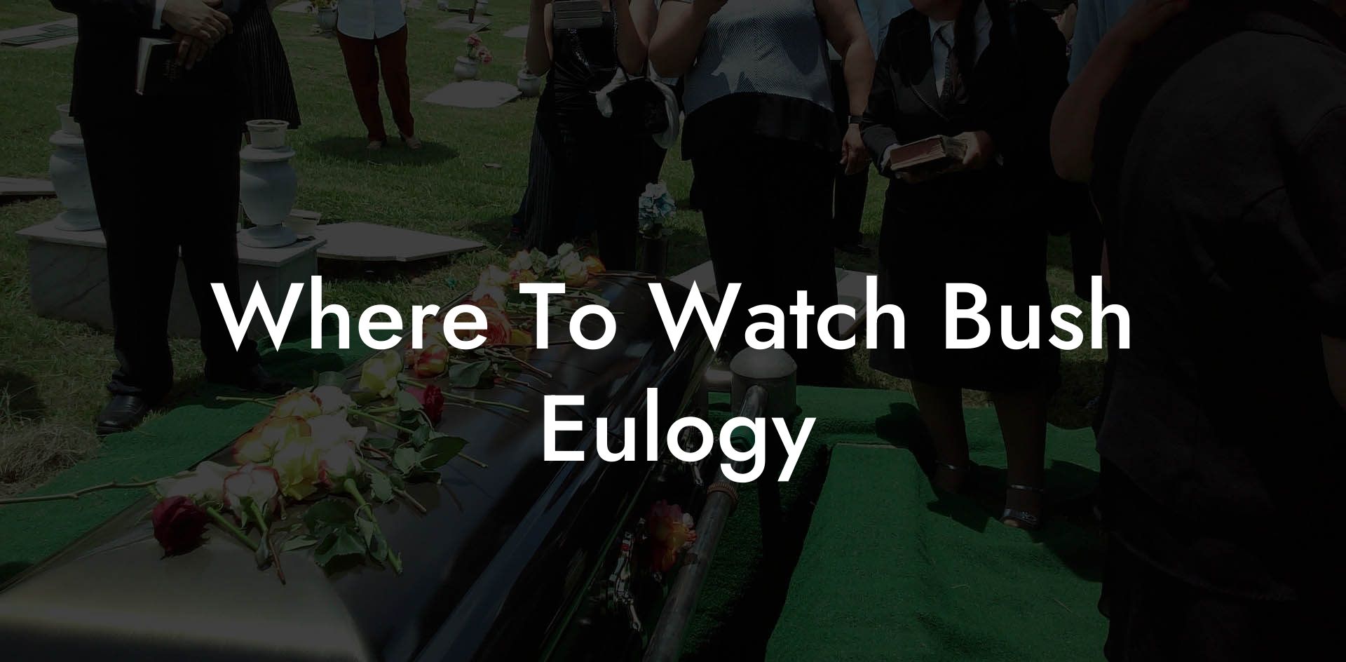 Where To Watch Bush Eulogy