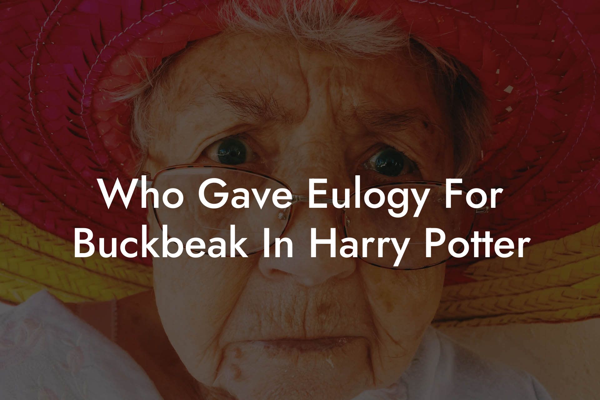Who Gave Eulogy For Buckbeak In Harry Potter